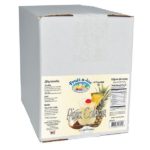 Fruit-N-Ice Blender Mix Pina Colada 6 Pack Case