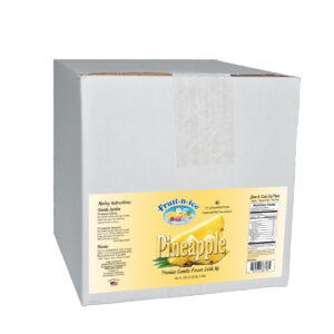 Fruit-N-Ice Granita Frozen Drink Mix Pineapple 4:1 Case